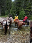 Small img 7859